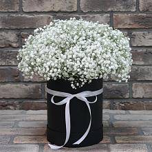 Цветочная композиция из Гипсофила в шляпной коробке #REPLACE_PRED# Селезнево